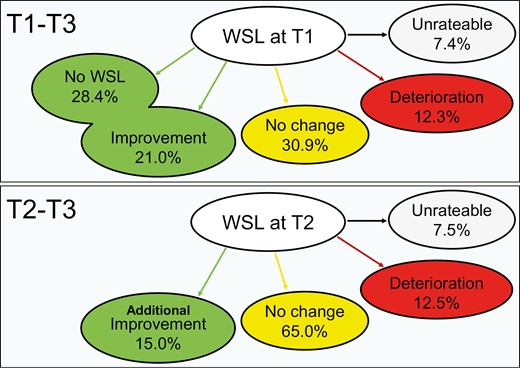 WSL-Change-Index (T1-T3, T2-T3): percentages of affected incisors (WSL at T1) showing ‘No WSL’/”Improvement”, ‘No change’, ‘Deterioration’ or being ‘Unrateable’.