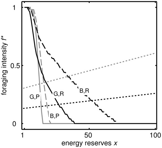 Optimal strategy of foraging intensity f* for reserves x and poor (‘P’, grey) and rich (‘R’, black) conditions for ρ = 0 (‘B’,dashed) and ρ = 1 (‘G’, solid) for the baseline parameter values shown in Table 1. f * changes smoothly for intermediate values of ρ (not shown). Dotted lines indicate the value of f necessary to maintain a constant level of reserves long-term in rich (black) and poor (grey) conditions. Hence, where the strategy lines of the same shade intersect the dotted lines is the target level of reserves. The target level of reserves in rich conditions is higher in the bad world than the good world