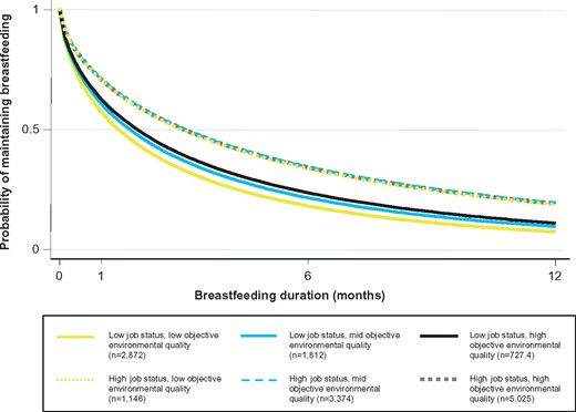 Breastfeeding duration by job status and objective environmental quality. Predicted probabilities of breastfeeding duration to 12 months by job status and objective environmental quality. Predicted from model controlling for exposure to current environment, infant and maternal characteristics, income and ward-level contextual factors and accounting for both fixed and random effects. N = 9,573. Interaction P = 0.045. All covariates held at mean values. Group ns are weighted counts