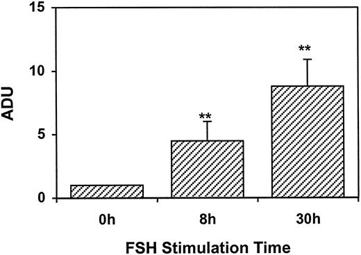 Study Guide Scf Endocrine System Study Guide Scf Endocrine System