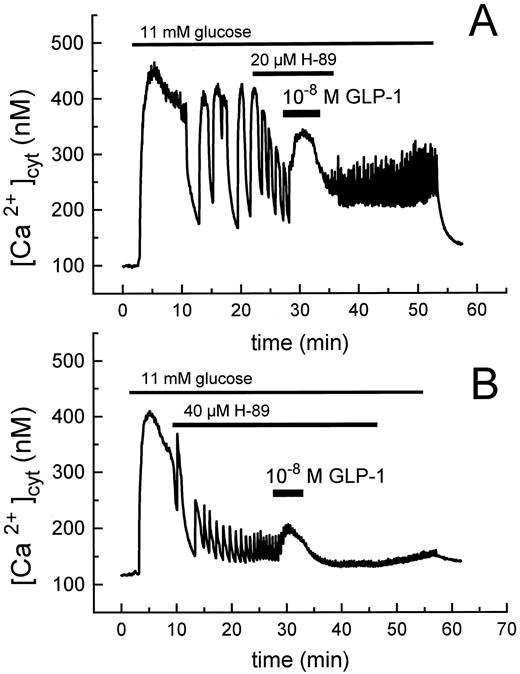 Effect of the PKA inhibitor H-89 on the GLP-1-induced [Ca2+]cyt elevation (for a control, see Fig. 3A) in mouse islets. Experimental setup is as in Fig. 3, A and B. Experiments started with an elevation of the ambient glucose concentration from 3 mm to 11 mm. The duration of superfusion with 11 mm glucose is indicated by bars. Replacement by 3 mm glucose afterwards. Other bars indicate superfusion with H-89 or GLP-1. The traces are representative of at least four experiments.