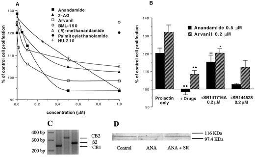 Antiproliferative effects of ECs on PRL-induced DU-145 cell proliferation. A, Effects of anandamide, 2-AG, metabolically stable anandamide analogs, and CB1 and CB2 agonists on PRL-induced proliferation of DU-145 cells. The effect of exogenous human PRL varied between 120–129% of the vehicle-treated cell proliferation depending on the experiment (average cell proliferation in untreated cells was 50,000–100,000 cells/well·3 days). Anandamide and arvanil exhibited a slight (≤10%) inhibition of basal DU-145 cell proliferation only at high (≥5 μm) doses. The effects of only 1 μm BML-190 and palmitoylethanolamide are shown, but these compounds were also tested at a higher (10 μm) concentration, and no significant effect was found. sd bars (never higher than 10–15% of the mean) are not shown for the sake of clarity. B, Effects of CB1 and CB2 selective antagonists on anandamide and arvanil inhibition of PRL-induced DU-145 cell proliferation. C, Identification of CB1 and CB2 transcripts in DU-145 cell RNA by RT-PCR. For details, see Fig. 3A. D, Western immunoblot of PRLr in DU-147 cells after incubation with vehicle, anandamide (1 μm), or anandamide plus SR141716A (0.2 μm). One hundred micrograms of total proteins were loaded on each lane. Mol wt markers are shown. A and B, Data are the mean ± sd (n = 3). *, P < 0.05; **, P < 0.01 (vs. anandamide or arvanil only). ○, P < 0.05; ○○, P < 0.01 (vs. PRL only). C and D are representative of three distinct experiments.