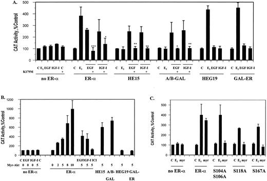 Akt activation of ER-α mutants. Transient cotransfections were performed in COS-1 cells with the expression vector, wild-type or mutant ER-α (HE15, HEG19, GAL-ER, A/B-GAL, S104A S106A, S118A, or S167A) and an estrogen-responsive CAT construct in the presence or absence of either the kinase defective mutant of Akt (K179M) or the constitutively active Akt mutant (myr-Akt). Transfected cells were treated for 6 h with 10−9m estradiol, 100 ng/ml EGF, or 40 ng/ml IGF-I in the presence or absence of the antiestrogen ICI 182,780. CAT activity was measured as described in Materials and Methods and normalized to the amount of β-galactosidase activity. The control was arbitrarily assigned the value of 100. Results represent the mean value of three independent experiments ± sd. Statistical differences between treatment with growth factors in the absence or presence of the dominant inactive mutant were determined using the Student’s t test, * P < 0.05, ** P < 0.02; *** P < 0.0005. A, Activation of chimeric and deletion mutants of ER-α by EGF and IGF-I. B, Activation of chimeric and deletion mutants of ER-α by the constitutively active Akt mutant. C, Activation of ER-α serine mutants by the constitutively active Akt mutant.