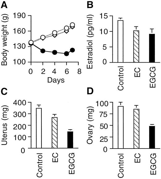 Differential effects of EGCG and three related green tea catechins on body weight (A), serum 17β-estradiol (B), and weights of the uterus (H), and ovary (I) in female Sprague Dawley rats. Rats were injected ip with the indicated catechin, 12.5 mg/rat (92 mg/kg BW), daily for 7 days. Values are the mean ± sem from five animals in each group. The se bar is either too small to be seen or, for clarity, is not shown. Symbols in A correspond to control (○), EC (⋄), and EGCG (•) groups.