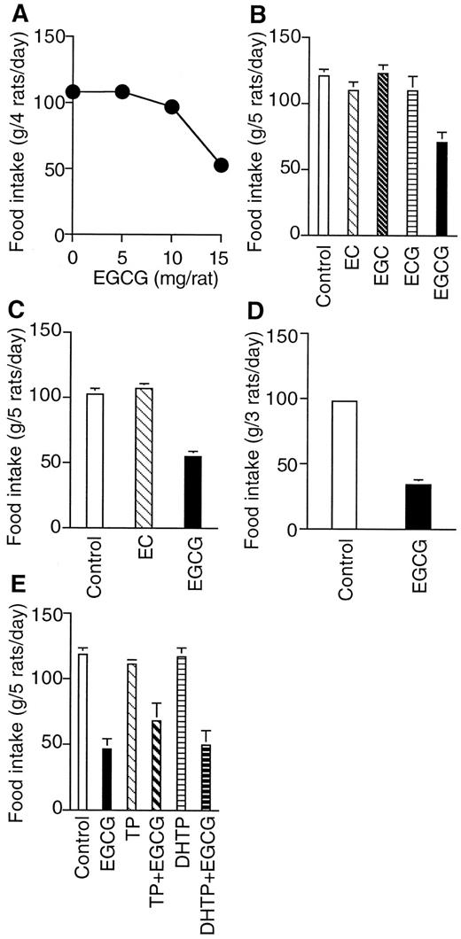 Effect of green tea catechins on food intake in male Sprague Dawley and obese Zucker rats. A, Male Sprague Dawley rats were injected ip with the indicated doses of EGCG (5 mg/rat, 26 mg/kg BW; 10 mg/rat, 53 mg/kg BW; 15 mg/rat, 85 mg/kg BW) daily for 7 days. B, Male Sprague Dawley rats were injected ip with 15 mg of the indicated green tea catechins (85 mg/kg BW) daily for 7 days. C, Female Sprague Dawley rats were injected ip with 12.5 mg of either EC or EGCG (92 mg/kg BW) daily for 7 days. D, Male obese Zucker rats were injected ip with 30 mg EGCG/rat (92 mg/kg BW) daily for 8 days. E, Effect of exogenous androgen on EGCG-induced reduction in food intake. Male Sprague Dawley rats were injected daily for 7 days with 20 mg EGCG (83 mg/kg BW, ip) and/or 4 mg of the indicated androgen (16 mg/kg BW, sc). Values are the mean ± sem from five animals in each group.