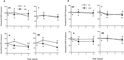 Characterization of Two Forms of Cocaine and Amphetamine Regulated