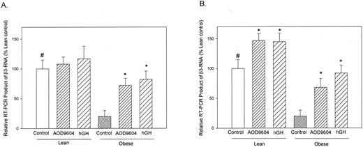 A comparison of β3-AR RT-PCR expression levels in white (A) and brown (B) adipose tissues from lean and obese mice treated for 14 d with saline, AOD9604, or hGH. Results are displayed as a percentage, compared with lean controls, and expressed as the mean ± se of three determinations in each group. *, P < 0.05; #, P< 0.05 obese control vs. lean control.
