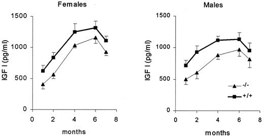 Serum IGF-I concentration (picograms per milliliter) were higher in female and male wild-type (+/+) than in knockout (−/−) gender-matched mice at 1, 2, 4, 6, and 7 months of age (n = 14–20 animals/group).