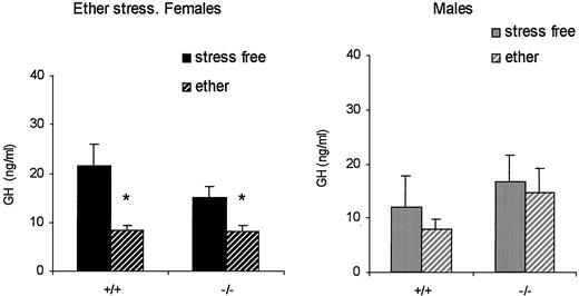 Effect of ether stress on the serum GH concentration in female (left panel) and male (right panel) wild-type (+/+) and knockout (−/−) mice (4–6 months old; n = 21, 23, 25, and 22 for females, and 20, 17, 19, and 20 for males). *, P < 0.05 vs. stress-free, sex- and genotype-matched animals.