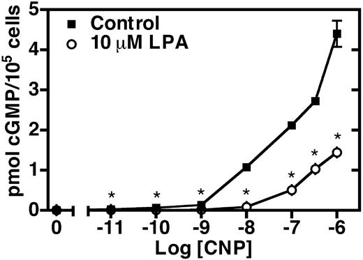 LPA inhibits CNP-dependent cGMP elevations in NIH3T3 cells. Serum-starved NIH3T3 cells were incubated in the presence (○) or absence (▪) of 10 μm LPA for 30 min. The media was aspirated, and the cells were stimulated with increasing concentrations of CNP for 3 min. The reaction was then terminated by aspirating the media and adding 1 ml 80% ethanol. Cellular cGMP levels were determined by RIA. Values are the mean of four separate determinations (±sem) of one representative experiment. Where error bars are not visible, the error is contained within the data point. The asterisk indicates that differences in cGMP levels from LPA-treated and control cells are statistically significant with a P value of < 0.01 as determined by a t test. This experiment was repeated three or more times with similar results.