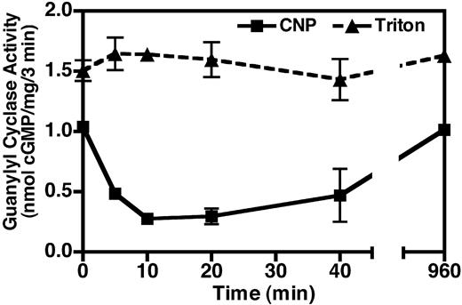 The LPA-dependent desensitization of NPR-B is rapid. Serum-starved NIH3T3 cells were incubated with 10 μm LPA for the indicated period of time, crude membranes were prepared from the treated cells, and assayed for guanylyl cyclase activity in the presence of 1 mm ATP, 100 nm CNP, and 5 mm MgCl2 (▪) or 1% Triton X-100 and 5 mm MnCl2 (▴) as described in Materials and Methods. cGMP concentrations were estimated by RIA. Values are the mean of two determinations, which were assayed in duplicate (±range). The data represent one of three experiments with similar results. Where error bars are not visible, they are contained within the data point.