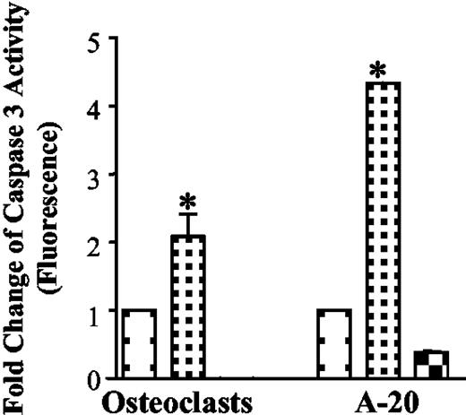 Caspase 3 activity is increased by Fas activating antibody. Differentiated osteoclasts were treated with or without Fas activating antibody (1 μg/ml) for 24 h. Caspase 3 activity was measured as in the manufacturer’s instructions. Six experiments were combined, and the results are presented as mean ± sem. Caspase 3 activity induced by Fas activating antibody (1 μg/ml) for 4 h in A-20 cells was used as positive control (n = 2). Caspase 3 inhibitor was added to A-20 cell lysate to confirm the correlation between protease activity and signal detection (n = 2). □, Treatment with Fas activating antibody, 0 μg/ml; □, treatment with Fas activating antibody, 1 μg/ml; and □, treatment with Fas activating antibody (1 μg/ml) plus DEVD-CHO. *, P < 0.05, vs. Fas activating antibody (0 μg/ml).