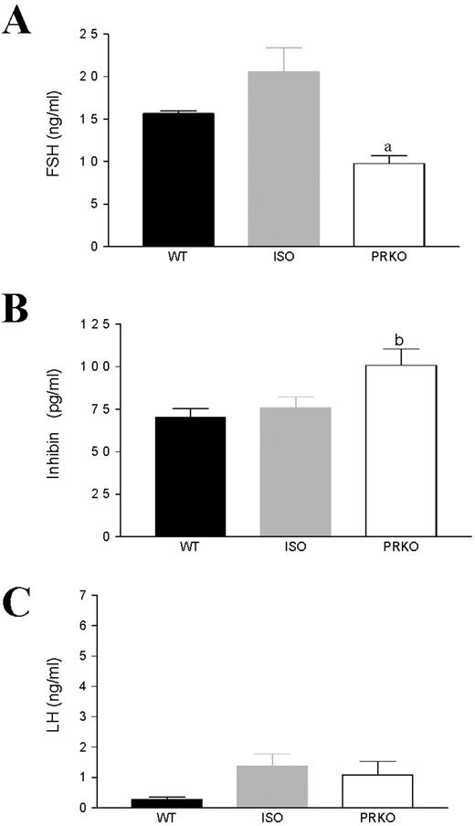 Plasma FSH, inhibin, and LH levels in C57BL/6, PRKO, and ISO control mice. A, Plasma FSH is significantly lower in PRKO males than C57BL/6 (a, P < 0.0001). B, Inhibin levels are significantly higher in PRKO males (P < 0.04). C. Basal LH levels are not significantly changed in male PRKO and C57BL/6 mice.