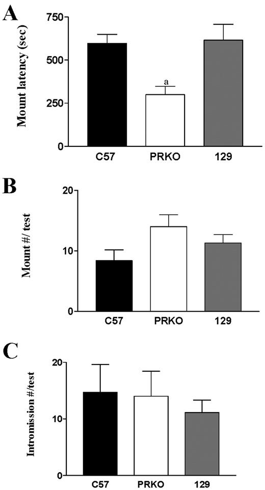 Sexual behavior of male mice during initial test with a receptive female. A, In initial tests PRKO males exhibited reduced latency to mount, compared with both WT strains (a, P < 0.004). B, No significant differences in number of mounts were observed. C, No significant differences in number of intromissions were observed.