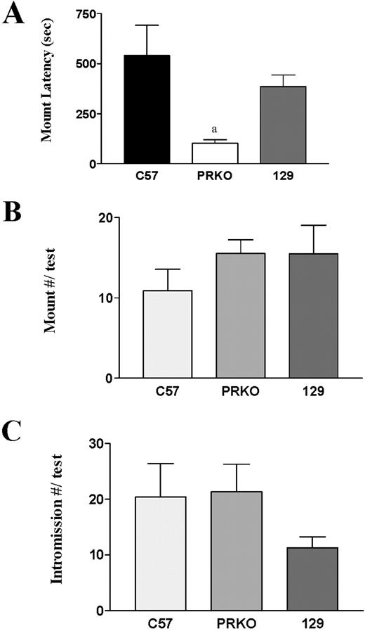 Sexual behavior of male mice during the second test with a receptive female. A, PRKO males again exhibited reduced latency to mount, compared with both WT strains (a, P < 0.0009). B, No significant differences in number of mounts were observed. C, No significant differences in number of intromissions were observed.
