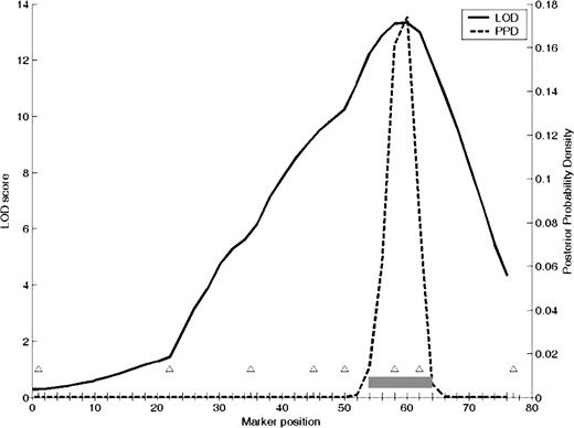 Fine-map scan of additional markers on chr6 for log(TSH). Centimorgans are on the x-axis, and triangles represent markers. LOD y-axis is on the left, and the solid line plots results of interval mapping of chr6. Posterior probability density is plotted along the right y-axis and is represented with a dotted line. The gray bar represents the confidence interval of the locus. PPD, Posterior probility density.