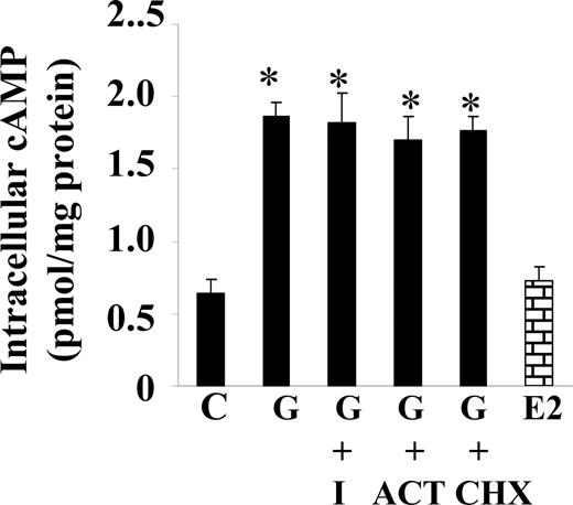 ER- and transcription-independent effect of genistein on cAMP. Serum-starved BAECs were incubated with or without the specific ER antagonist ICI 182,780 (I, 10 μm), the RNA synthesis inhibitor actinomycin D (ACT, 10 μm), or the protein synthesis inhibitor cycloheximide (CHX, 10 μm) in HBSS buffer for 30 min. Cells were then stimulated with genistein (G, 5 μm), 17β-estradiol (E2, 10 nm), or vehicle (C) in the continued presence or absence of the inhibitors for 30 min at 37 C. cAMP was extracted and measured as indicated in Fig. 1. The experiment was repeated three times in triplicate, and data were expressed as mean ± se. *, P < 0.05 vs. vehicle-treated control.