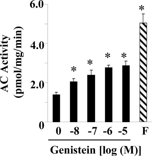 Genistein stimulates AC activity. Serum-starved BAECs were exposed to increasing concentrations of genistein, vehicle (C), or forskolin (F, 20 μm) for 15 min. Membrane preparations were isolated by differential centrifugation. The AC activity was measured as described in Materials and Methods. The experiment was repeated four times in triplicate, and data were expressed as mean ± se. *, P < 0.05 vs. vehicle-treated control.