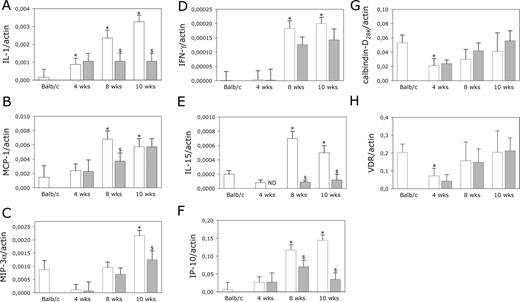 Effect of in vivo treatment with 1,25-(OH)2D3 on time course of IL-1β (A), MCP-1 (B), MIP-3α (C), IFNγ (D), IL-15 (E), IP-10 (F), calbindin-D28K (G), and VDR (H) mRNA expression in islets of diabetes-prone NOD mice. mRNA was isolated from islets of female NOD mice; treated with either vehicle (peanut oil, white bars) or 1,25-(OH)2D3 (5 μg/kg body weight, gray bars) by ip injection every other day from weaning until 4, 8, and 10 wk of age; and analyzed by real-time PCR. Four-week-old female BALB/c islets were used as nondiabetes-prone controls. The results obtained are means ± sem for three similar experiments and are expressed as cytokine or chemokine copies per β-actin copies. Significance (symbol) is expressed compared with mRNA expression levels in islets of control mice. *, P ≤ 0.05 vs. 4-wk-old BALB/c islets; $, P ≤ 0.05 vs. age-related vehicle-treated NOD mice.