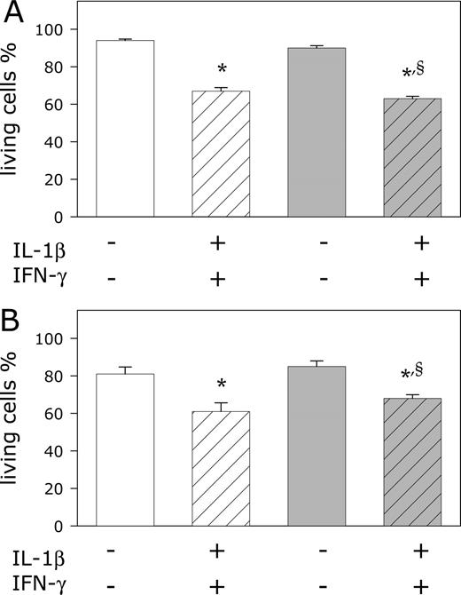 Effect of in vitro treatment with 1,25-(OH)2D3 on cytokine-induced cell death in INS-1E cells (A) and primary rat β-cells (B). INS-1E cells (6,000 cells/condition) and FACS-purified rat β-cells (10,000 cells/condition) were exposed for 24 and 48 h, respectively, to IL-1β (10 U/ml) plus IFNγ (100 U/ml) (CYTK, dashed bars) as indicated in the figure. Cultures were either untreated (white bars) or pretreated with 10−8m 1,25-(OH)2D3 for 24 h (gray bars). Cell viability was determined with the nuclear dyes HO 342 and PI. Nuclei of viable cells are stained in blue, whereas the nuclei of dead cells are stained in red. Islet cell dead is expressed as means ± sem (percentage of living cells) from three independent experiments. *, P ≤ 0.05 vs. medium control (control cells, without cytokines); $, P ≤ 0.05 vs. CYTK control (control cells, with cytokines); §, P ≤ 0.05 vs. medium 1,25-(OH)2D3 [cells treated with 1,25-(OH)2D3, without cytokines].