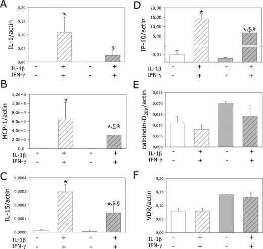 Effect of in vitro treatment with 1,25-(OH)2D3 on differential expression of cytokine-induced inflammation-related molecule IL-1β (A), MCP-1 (B), IL-15 (C), IP-10 (D), calbindin-D28K (E), and VDR (F) mRNA in INS-1E cells. INS-1E cells were exposed for 8 h to IL-1β (10 U/ml) plus IFNγ (100 U/ml) (CYTK, dashed bars) with (gray bars) or without (white bars) pretreatment of 1,25-(OH)2D3 (10−8m) for 24 h, as indicated in the figure. The cells were then harvested, mRNA extracted, and measured by real-time PCR with the use of gene-specific oligonucleotide primers and fluorogenic probes. mRNA levels (the ratio between the gene of interest and β-actin) are expressed as means ± sem from three independent experiments. *, P ≤ 0.05 vs. medium control (control cells, without cytokines); $, P ≤ 0.05 vs. CYTK control (control cells, with cytokines); §, P ≤ 0.05 vs. medium 1,25-(OH)2D3 [cells treated with 1,25-(OH)2D3, without cytokines].