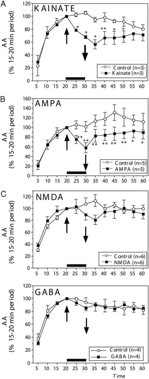 AA (mean ± sem) in paired HPOA explants incubated in vitro and exposed for 10 min (up arrow) to 100 μm kainate (A), 100 μm AMPA (B), 100 μm NMDA (C), or 100 μm GABA. In all experiments, normal saline was restored at 30 min (down arrow). All data are expressed as a percentage of the basal release, defined as the activity during the period preceding the experimental manipulation (time, 15–20 min). The number of data points available for each compound and the corresponding controls is indicated in each panel in the inset explaining the symbols used for the different lines. Data were analyzed by two-way ANOVA for repeated measures, followed, when appropriate, by Tukey highest significant difference tests, comparing control and experimental conditions at each time point. Statistically significant results are indicated by asterisks next to the corresponding data points: *, P < 0.05; **, P < 0.01 (vs. corresponding control).