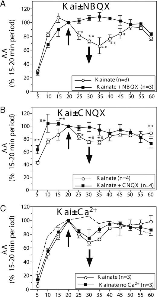 AA (mean ± sem) in paired HPOA explants incubated in vitro and exposed for 10 min (time, 20–30 min) to 100 μm kainate (A and B) with or without preincubation with the non-NMDA glutamate antagonist, NBQX (A) or CNQX (B). C, Results of experiments in which explants were exposed to 100 μm kainate from 20–30 min in the presence or absence of Ca2+ in the extracellular medium. The dotted line replicates the control condition observed in the absence of kainate in Fig. 1A (see text). The number of data points available for each condition and the corresponding controls is indicated in each panel in the inset explaining the symbols used for the different lines.