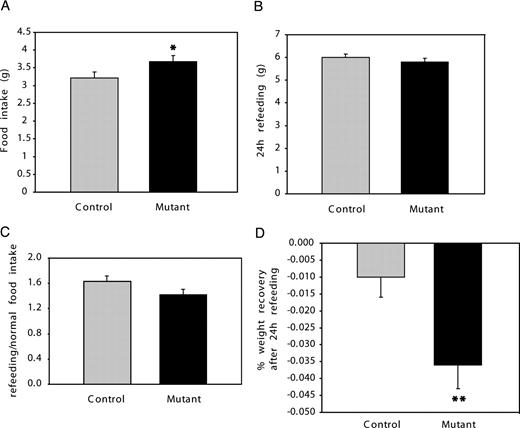 Food intake and compensatory refeeding in female Pomc-Stat3 mutant and control mice. A, Ad libitum daily food intake in control and Pomc-Stat3 mutant mice. Mice were singly housed for 1–2 wk before the start of feeding measurement. Daily food intake is an average of food intake over the course of 7–10 d (control n = 12, mutant n = 12). B, The 24-h refeeding after a 48-h fasting; 24-h refeeding is the amount of food consumed during the initial 24-h period after food is returned after a 48-h fast. C, The 24-h refeeding compared with normal daily food intake. D, Percent weight recovery after 24-h refeeding. Percent weight recovery = (weight after 24-h refeeding − prefasted body weight)/prefasted body weight (control n = 9, mutant n = 8). *, P < 0.05; **, P < 0.01 as determined by ANOVA.