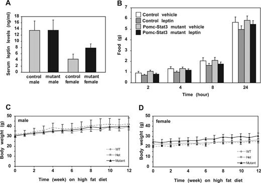 Sensitivity to leptin and diet-induced obesity in Pomc-Stat3 mutant mice. A, Circulating leptin levels were determined by ELISA (control male n = 4, mutant male n = 4, control female n = 6, mutant female n = 9). B, Sensitivity to leptin-induced anorexia. Food intake was measured at different time intervals (2, 4, 8, and 24 h) after ip leptin administration (5 mg/kg) (control n = 9, mutant n = 9). C and D, Body weight when feeding a high-fat diet (45 kcal% fat, 35 kcal% carbohydrate, 20 kcal% protein; Research Diets, Inc.) for 12 wk. Wild-type (WT) male n = 2, Het male n = 6, mutant male n = 5; WT female n = 3, Het female n = 4, and mutant female n = 5.