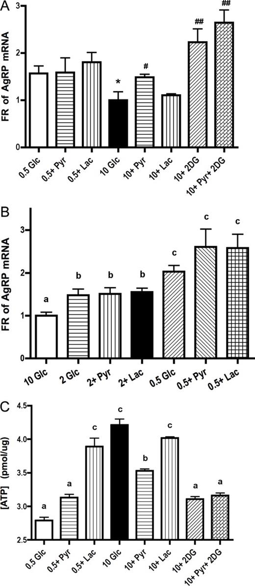 Pyruvate or lactate does not mimic the effect of glucose to suppress AgRP expression at 0.5 or 2 mm glucose; instead, addition of pyruvate or 2-DG blocks the glucose inhibition of AgRP. A and B, N-38 neurons were initially cultured in 25 mm glucose (Glc) media for 1–2 d and then treated in 0.5, 2, or 10 mm glucose media with or without 10 mm pyruvate (Pyr)/lactate (Lac)/2-DG for 24 h. Total RNA was extracted to measure relative mRNA level of AgRP by qRT-PCR. Data are presented as mean ± sem (n = 6–8), and statistical differences were determined by Student’s t test (* or #, P < 0.05 vs. 0.5 mm glucose or 10 mm glucose as control, respectively) or by ANOVA followed by Tukey HSD test (P < 0.05, groups with different letters are significantly different). B, Cellular ATP levels in various conditions were determined by luciferase assay at 12 h. Data are presented as mean ± sem (n = 4), and groups with different letters are statistically different (P < 0.05) by ANOVA followed by Tukey HSD test.