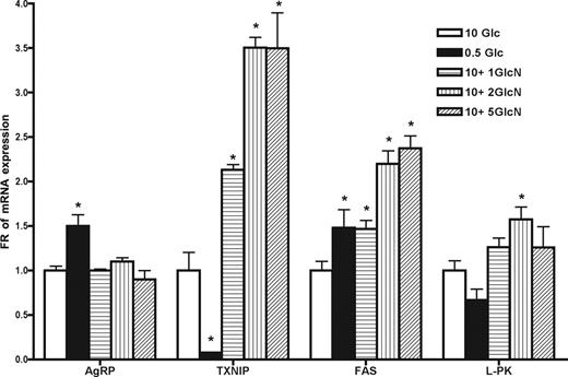 Glucosamine induces mRNA expression of TXNIP, FAS, and L-PK but not AgRP. N-38 neurons were initially cultured in 25 mm glucose (Glc) media for 1–2 d and then treated in 0.5 mm glucose or 10 mm glucose media with increasing doses of glucosamine (GlcN) for 24 h. Total RNA was extracted to measure relative mRNA levels by qRT-PCR. Data are presented as mean ± sem (n = 4), and statistical differences were determined by Student’s t test (*, P < 0.05).