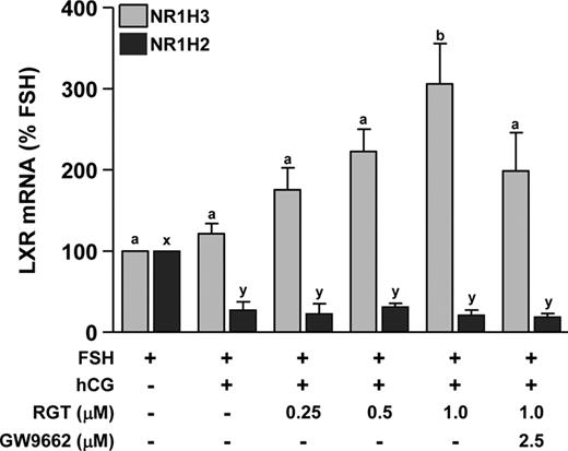 Effect of PPARG agonist treatment on NR1H2 and NR1H3 mRNA expression during in vitro luteinization. Granulosa cells isolated before hCG as in Fig. 1 were plated in fibronectin-coated 24-well plates and treated with FSH to maintain the nonluteinized phenotype or FSH+hCG for 24 h to induce luteinization. The PPARG agonist RGT (0–1.0 μm) was added to cultures with or without the PPARG antagonist GW9662 (2.5 μm). NR1H3 (gray bars) and NR1H2 (black bars) mRNAs were measured by real time RT-PCR. Data are presented as mean ± sem. Bars with different lowercase letters are significantly different (n = 3; P < 0.05).