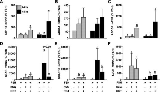 Effect of PPARG agonist treatment on NR1H3, ABCA1, ABCG1, STAR, and SCARB1 mRNA expression during in vitro luteinization. Granulosa cells isolated before hCG following a COS protocol were plated in a fibronectin-coated 24-well plate and treated with FSH or FSH+hCG with or without RGT (1.0 μm) for 24 or 48 h. The 48-h treatment group received an additional media change after the first 24 h of treatment. The mRNA expression of (A) NR1H3, (B) ABCA1, (C) ABCG1, (D) STAR, (E) SCARB1, and (F) LDLR was determined by real time RT-PCR as per Fig. 1. Data are presented as mean ± sem of percent change over time-matched FSH treatment. Bars with different lowercase letters are significantly different (n = 3; P < 0.05).