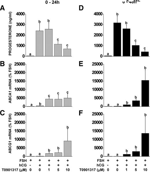 Effect of LXR agonist treatment on progesterone production and ABCA1 and ABCG1 mRNA expression during in vitro luteinization. Nonluteinized granulosa cells were isolated and treated with FSH or FSH+hCG with or without the LXR agonist T0901317 (0–10 μm) for 24 or 48 h. Progesterone concentrations in culture media were determined by RIA (A and D), ABCA1 (B and E) and ABCG1 (C and F) mRNA expression were measured by real-time RT-PCR. Data for mRNA expression are presented as mean ± sem of percent change over time-matched FSH treatment. Bars with different lowercase letters are significantly different (n = 3; P < 0.05).