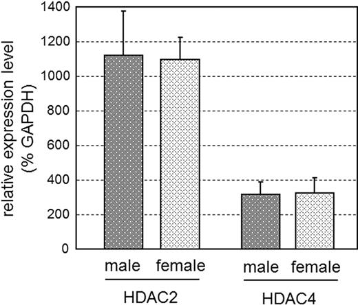 Quantitative expression level of HDAC2 and -4 mRNA in the MPOA of PD1 rats. cDNA synthesized from total RNA of MPOA of male (n = 4) and female (n = 4) rats on PD1 was subjected to quantitative real-time PCR. Expression levels of HDAC2 and -4 mRNA were normalized to GAPDH mRNA (percent GAPDH). There were no significant sex differences; values represent mean ± sem.