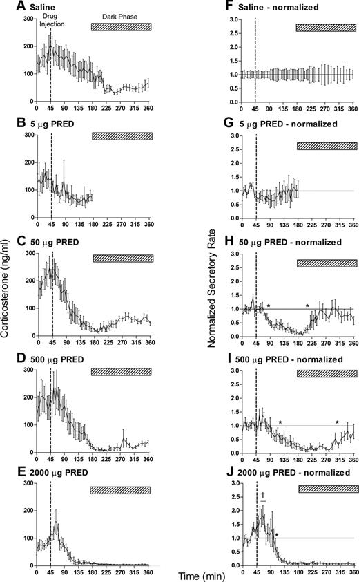 Acute iv injection of methylprednisolone (PRED) causes dose-dependent suppression of basal corticosterone levels. Data show the mean ± sem of the absolute hormone levels (left panels) and the data after normalization to the saline controls (right panels): A and F, Saline controls, n = 11; B and G, 5 μg, n = 8; C and H, 50 μg, n = 12; D and I, 500 μg, n = 12; E and J, 2000 μg, n = 10 (see text for normalization procedure). All injections (indicated by the broken line in each panel) were given at 1645 h when diurnal levels of circulating plasma corticosterone are high. The hatched bar in each panel indicates the dark period commencing at 1900 h. The asterisks in H–J show the first and last time points that are significantly different from saline-injected animals (P < 0.05). Note that the onset of feedback inhibition does not occur until after 40 min after methylprednisolone injection. The dagger in J indicates three successive samples that are significantly greater than the saline controls (P < 0.05). The horizontal lines in the right panels show the line of equality with saline values (i.e. normalized values equal 1).