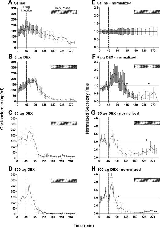Effects of acute iv injection of dexamethasone (DEX) on basal corticosterone levels. Data show the mean ± sem of the absolute hormone levels (left panels) and the data after normalization to the saline controls (right panels): A and E, saline controls, n = 11; B and F, 5 μg, n = 8; C and G, 50 μg, n = 6; D and H, 500 μg, n = 7. All injections (indicated by the broken line in each panel) were given at 1645 h when diurnal levels of circulating plasma corticosterone are high. The hatched bar in each panel indicates the dark period. The asterisks in F–H show the first and last time points that are significantly different from saline-injected animals (P < 0.05). Note that the onset of feedback inhibition occurs only after 50 min after DEX injection. The dagger in H indicates three successive samples that are significantly greater than the saline controls (P < 0.05). The horizontal lines in the right panels show the line of equality with saline values (i.e. normalized values equal 1). Saline control data are the same as in Fig. 2, A and E.