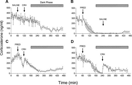 Effect of CRH on corticosterone secretion during methylprednisolone-induced negative feedback. A, Injection of CRH (1 μg, iv) 60 min after an injection of saline has little effect on basal HPA activity during the late light phase of the diurnal cycle (n = 4). B, Injection of methylprednisolone (PRED, 500 μg, iv) caused rapid and sustained suppression of corticosterone levels that was unaffected by subsequent injection of saline (n = 3). CRH injection was able to cause a rapid increase in corticosterone levels when given either 60 min after methylprednisolone during the maximal rate of suppression (C, n = 12) or at 240 min when corticosterone levels had reached a nadir (D, n = 4). Values are mean ± sem. Hatched bar shows the dark period. Note that for injections performed during the dark period (B and D), animals were exposed to a brief period of light.