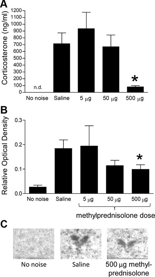 Glucocorticoid-induced suppression of HPA and c-fos mRNA response to noise stress. A, Injection of methylprednisolone (5–500 μg) 15 min before a 30-min noise stress significantly attenuated corticosterone levels measured from trunk blood samples obtained immediately after the end of the noise. *, P < 0.001, 500-μg dose vs. either saline or 5-μg dose (one-way ANOVA followed by post hoc Tukey's test). Corticosterone levels in animals receiving no noise were not determined (n.d.). B, Expression of c-fos mRNA in the hypothalamic PVN of animals receiving either saline or an acute dose of methylprednisolone (5–500 mg) 15 min before a 30-min noise stress. A second control group (no noise) is also included. *, P < 0.05, saline vs. 5 mg (one-way ANOVA followed by post hoc Tukey's test). C, Example autoradiograms of the PVN region in three treatment groups.