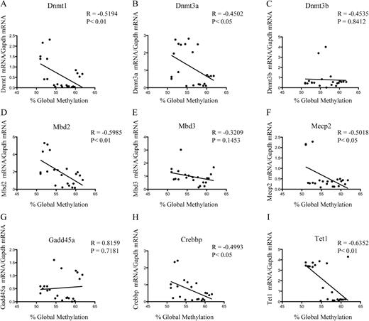 Correlation analysis of global DNA methylation with mRNA expression of genes involved in epigenetic regulation in the cerebellum. A correlation analysis was performed between global DNA methylation and mRNA expression of genes that are implicated in the regulation of epigenetic state. The correlation analysis was determined using global methylation and mRNA expression data from the F1 PND10 animals (n = 4), F1 adult animals (n = 4), and F2 adult animals (n = 3). Correlation is shown for Dnmt1 (A), Dnmt3a (B), Dnmt3b (C), Mbd2 (D), Mbd3 (E), Mecp2 (F), Gadd45a (G), Crebbp (H), and Tet1 mRNA (I). The R value and P value for each gene analyzed is presented in the figure.