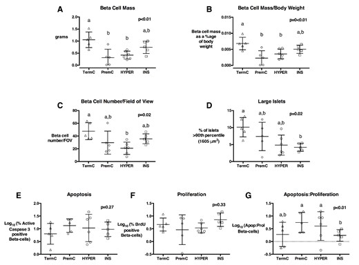 A, β-Cell mass; (B) β-cell mass adjusted for body weight; (C) β-cell number per FOV (D) percentage of large islets; (E) % apoptotic β-cells; (F) % proliferating β-cells, and (G) ratio of apoptotic: proliferating β-cells in TermC (n = 3M/2F), PremC (n = 2M/3F), HYPER (n = 3M/3F), and INS (n = 1M/4F) sheep at 4 weeks after term. Overall, P values are from an ANOVA, nonmatching letters indicate a significant difference (P < .05) among groups on post hoc analysis. Data are individual animal data with mean and SEM superimposed.