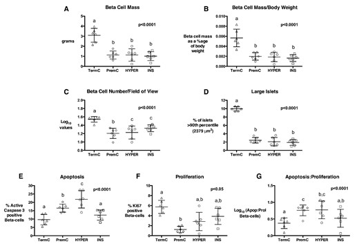 β-Cell mass (A), β-cell mass adjusted for body weight (B), β-cell number per FOV (C), percentage of large islets (D), % β-cells undergoing apoptosis (E), % proliferating β-cells (F), and β-cell apoptosis: proliferation ratio (G) in TermC (n = 3M/3F), PremC (n = 3M/3F), HYPER (n = 3M/3F), and INS (n = 3M/3F) sheep. Overall, P values are from an ANOVA, nonmatching letters indicate a significant difference (P < .05) among groups on post hoc analysis. Data are individual animal data with mean and SEM superimposed.