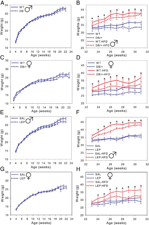 Male offspring are shown in A and C and female offspring in B and D. Offspring were maintained on a CD except where indicated (HFD). Males weighed more than females (P < .01) and offspring on the HFD weighed more than those on a control diet. Data are presented as averages ± SE and were analyzed by using repeated measures two-way ANOVA with offspring nested within dam (n: males, WT = 13; DB/+ = 12; SAL = 14; and LEP = 14 and females, WT = 11; DB/+ = 9; SAL = 14; and LEP = 13) (^, P < .07; *, P < .05, least square means).