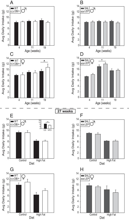 A–D, All animals were fed a standard diet at ages 4, 11, and 19 weeks. E–H, At 23 weeks, half the offspring were switched to a HFD, and then consumption by the mice on each diet was assessed at 27 weeks. Data are presented as averages ± SE and were analyzed by using ANOVA split-plot in space and time with offspring nested within dam (n: males, WT = 10; DB/+ = 10; SAL = 14; and LEP = 12 and females, WT = 9; DB/+ = 6; SAL = 12; and LEP = 13) (^, P < .06; *, P < .05, least square means). E, inset, ** at 27 weeks of age, consumption of control diet was higher than that of the HFD, independent of age or sex.