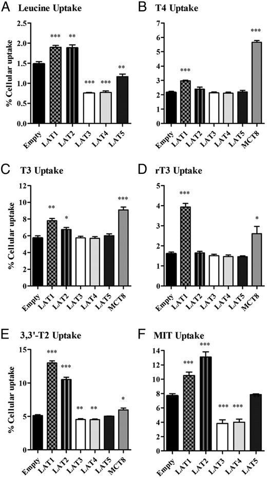 A–F, Cellular uptake of 10 nM T4, T3, rT3, 3,or 3′-T2 or 10 μM of MIT or Leu by COS1 cells transfected with EV, FLAG-tagged LAT1, LAT2, LAT3, LAT4, LAT5, or MCT8 after 30 minutes or 10 minutes (Leu) of incubation. Uptake is presented as a percentage of added substrate. Results are the means ± SEM of four to six experiments. Significance represents EV vs different transporters. *, P < .05; **, P < .01; ***, P < .001.
