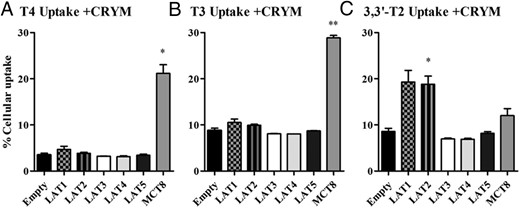 A–C, Cellular uptake of 10 nM T4, T3, and 3,3′-T2 by COS1 cells transfected with CRYM in combination with EV, FLAG-tagged LAT1, LAT2, LAT3, LAT4, LAT5, or MCT8 after 30 minutes of incubation. Uptake is presented as a percentage of added substrate. Results are the means ± SEM of two to three experiments. Significance represents EV vs different transporters. *, P < .05; **, P < .01; ***, P < .001.