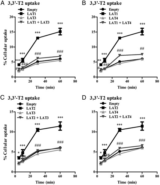 A and B, Cellular uptake of 10 nM 3,3′-T2 by COS1 cells transfected with EV, LAT1, LAT3, or LAT4 alone or cotransfected with LAT1 plus LAT3, or LAT4 after 5–60 minutes of incubation. C and D, Cellular uptake of 10 nM 3,3′-T2 by COS1 cells transfected with single EV, LAT2, LAT3, or LAT4 alone or cotransfection of LAT2 together with LAT3 or LAT4 after 5, 10, 30, and 60 minutes of incubation. Uptake is presented as a percentage of added substrate. Results are the means ± SEM of three experiments. Significance represents EV vs LAT1 or LAT2 (*) and single LAT1 or LAT2 alone vs LAT1 or LAT2 plus LAT3 or LAT4 (#). *, P < .05; **, P < .01; ***, P < .001.