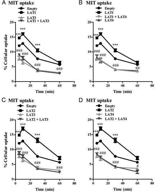 A and B, Cellular uptake of 10 μM MIT by COS1 cells transfected with single EV, LAT1, LAT3, or LAT4 alone or cotransfected with LAT1 plus LAT3 or LAT4 after 5–60 minutes of incubation. C and D, Cellular uptake of 10 μM MIT by COS1 cells transfected with EV, LAT2, LAT3, or LAT4 alone or cotransfected with LAT2 plus LAT3 or LAT4 after 5–60 minutes of incubation. Uptake is presented as a percentage of added substrate. Results are the means ± SEM of three experiments. Significance represents EV vs LAT1 or LAT2 (*) and LAT1 or LAT2 alone vs LAT1 or LAT2 plus LAT3 or LAT4 (#). *, P < .05; **, P < .01; ***, P < .001.