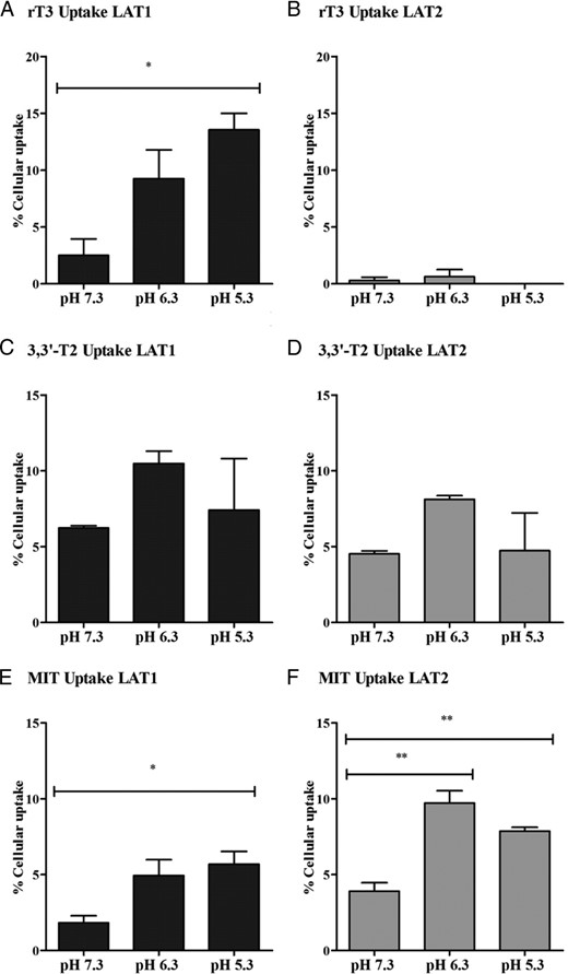 A–E, Effects of pH 5.3–7.3 on the uptake of 1 nM rT3, 3,3′-T2, or MIT by COS1 cells transfected with LAT1 or LAT2 after 30 minutes of incubation. Uptake is presented as a percentage of added substrate. Results are the means ± SEM of three experiments. Significance represents pH 5.3 or 6.3 vs pH 7.3. *, P < .05; **, P < .01; ***, P < .001.