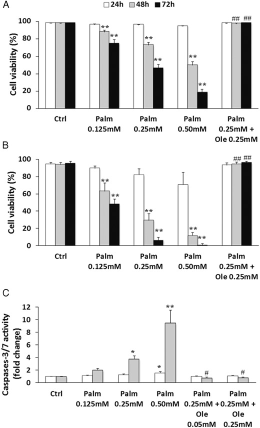 Ole suppressed Palm-induced cytotoxicity in MSC and Ob. MSC (A and C) and Ob (B) were treated with increasing concentrations of Palm (0.125mM–0.50mM) ± Ole (0.05mM or 0.25mM) for the indicated times. A and B, Cell viability was quantified by nuclear staining with Hoechst and propidium iodide. Values are mean ± SEM of 15 (MSC) or 5 (Ob) individual experiments. **, P < .001 vs appropriate control condition (Ctrl; 24, 48, or 72 hours); ##, P < .001 vs 0.25mM Palm. C, Caspases-3/7 activity was measured using the Caspases-3/7 Glo assay. Values are expressed relative to Ctrl and are mean ± SEM of 7 individual experiments. *, P < .01; **, P < .001 vs appropriate control (Ctrl, 24 or 48 hours); #, P < .01 vs 0.25mM Palm.